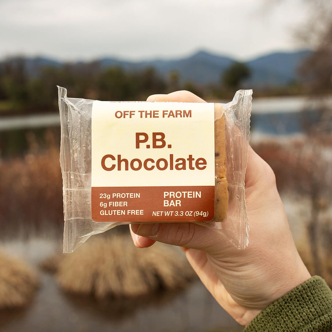 Hand holding a P.B. Chocolate protein bar with a scenic background