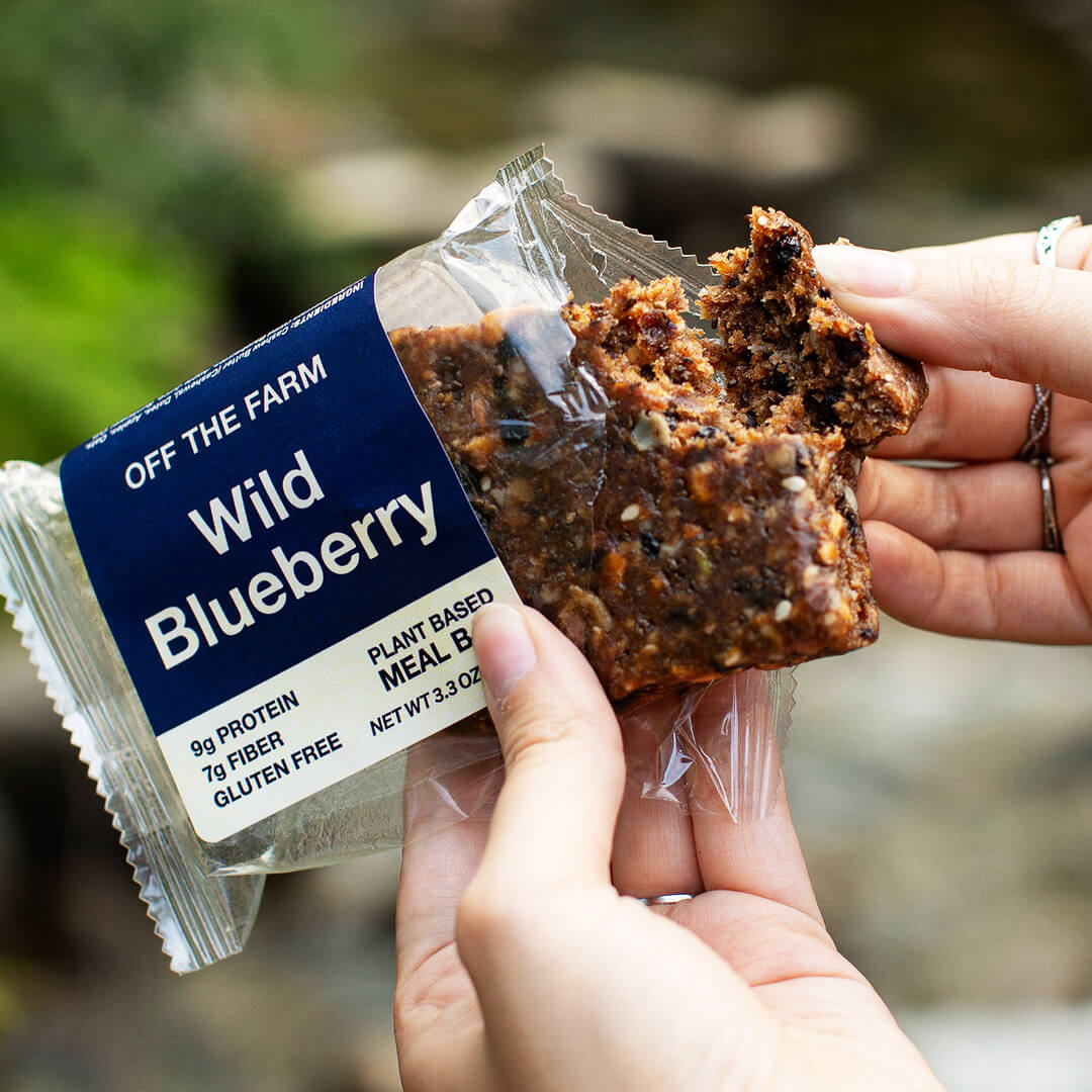 Hand holding a plant-based meal bar labeled 'Wild Blueberry' with packaging.