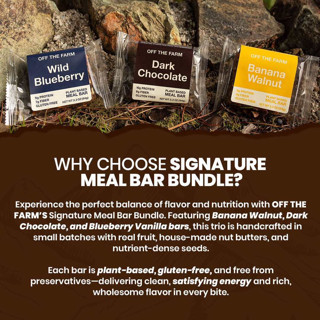 Three plant-based meal bar packages with labels for Wild Blueberry, Dark Chocolate, and Banana Walnut on a rocky background.